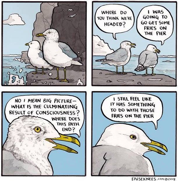 Birds, Singularity
