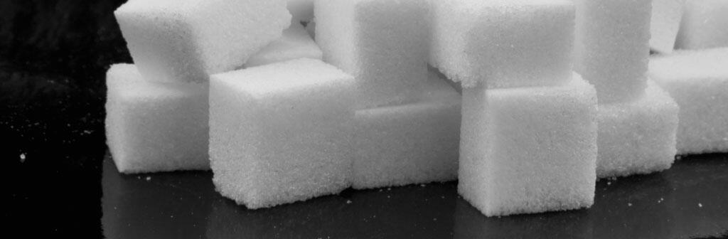 Sugar Cubes – Mind Uploads and the Final Form of Humanity
