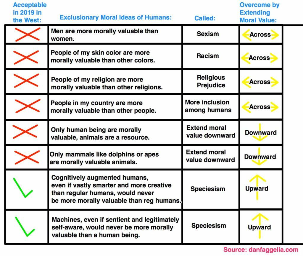 A Dialogue on the Simulation Interview Dan Faggella